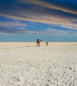 Hotel-Jp-Resort-kutch-Rann-of-kutch-5-1024x768