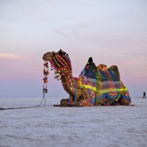 Hotel-Jp-Resort-kutch-Kutch-Utsav-5-1024x682 (1)