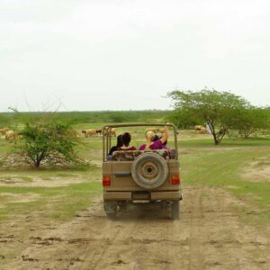 jeep-safari-2-1024x683